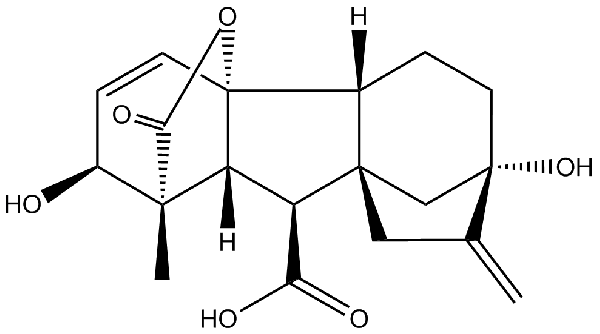 赤霉素GIBBERELLIC ACID，居然有這么神奇？